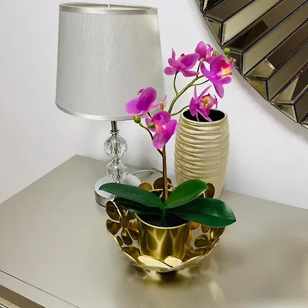 Morning Calm דירה