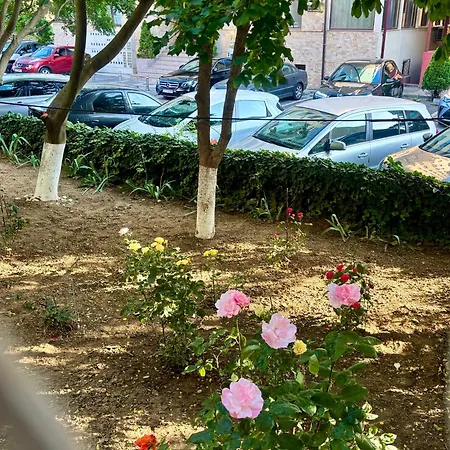 Morning Calm קונסטנצה