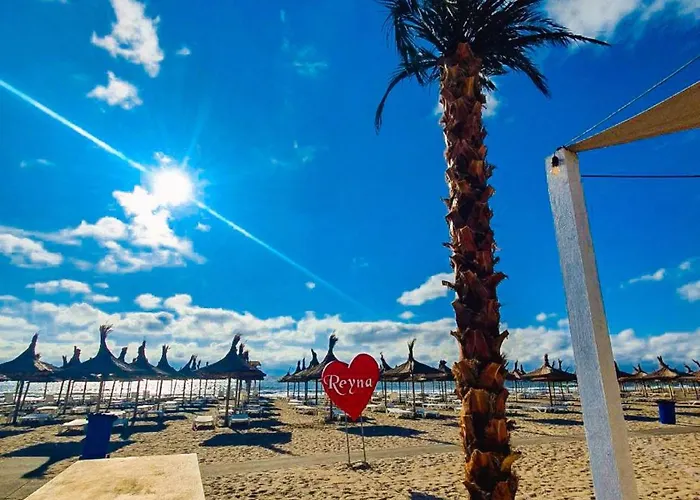 Apartment Morning Calm *