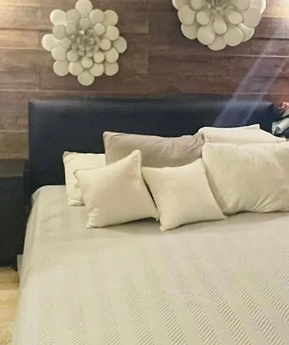 Apartment Morning Calm *