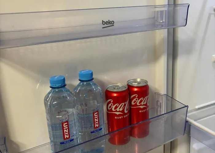 Morning Calm Constanţa