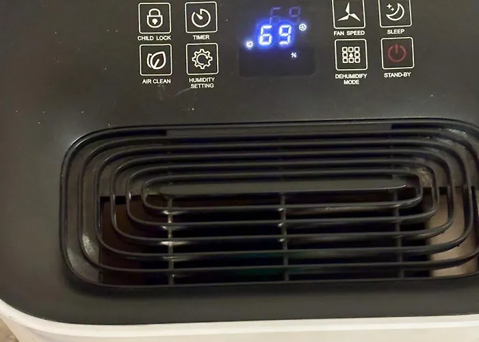 Morning Calm Constanţa