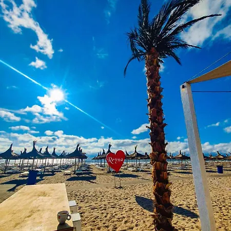 Apartment Morning Calm *