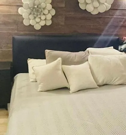 Apartment Morning Calm *