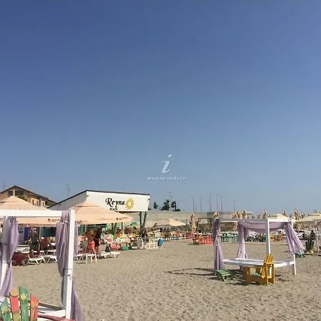 Morning Calm *