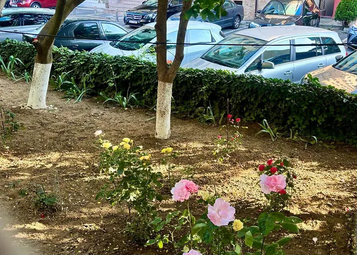 Morning Calm Constanta