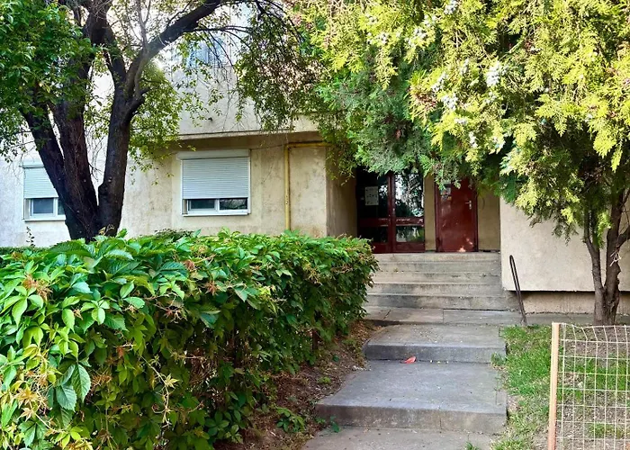 Morning Calm Apartment